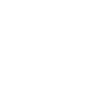 Schmidt & Associates